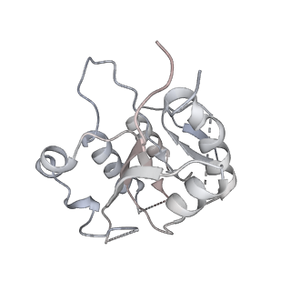 28157_8eii_D_v1-2
Cryo-EM structure of human DNMT3B homo-tetramer (form II)