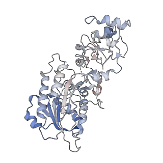 28158_8eij_B_v1-2
Cryo-EM structure of human DNMT3B homo-trimer