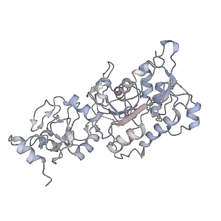 28159_8eik_A_v1-2
Cryo-EM structure of human DNMT3B homo-hexamer