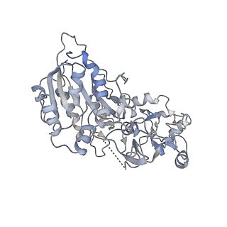 28159_8eik_B_v1-2
Cryo-EM structure of human DNMT3B homo-hexamer