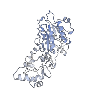 28159_8eik_C_v1-2
Cryo-EM structure of human DNMT3B homo-hexamer