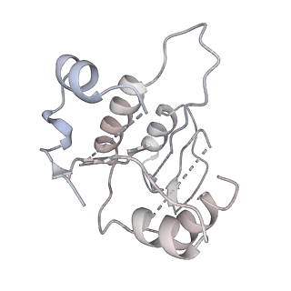 28159_8eik_D_v1-2
Cryo-EM structure of human DNMT3B homo-hexamer