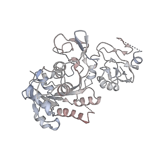 28159_8eik_E_v1-2
Cryo-EM structure of human DNMT3B homo-hexamer