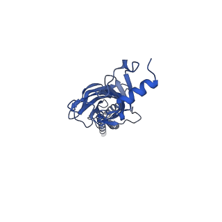 28163_8eis_A_v1-1
Cryo-EM structure of octopus sensory receptor CRT1