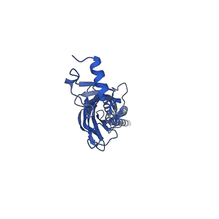 28163_8eis_B_v1-1
Cryo-EM structure of octopus sensory receptor CRT1
