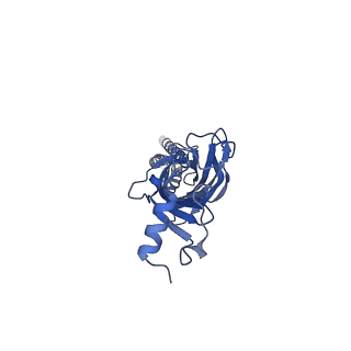 28163_8eis_D_v1-1
Cryo-EM structure of octopus sensory receptor CRT1
