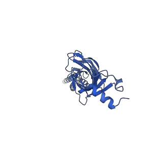 28163_8eis_E_v1-1
Cryo-EM structure of octopus sensory receptor CRT1