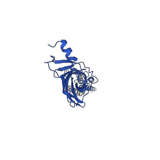 28167_8eiz_A_v1-1
Cryo-EM structure of squid sensory receptor CRB1