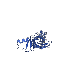 28167_8eiz_B_v1-1
Cryo-EM structure of squid sensory receptor CRB1