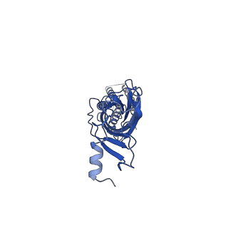 28167_8eiz_C_v1-1
Cryo-EM structure of squid sensory receptor CRB1