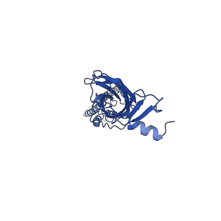 28167_8eiz_D_v1-1
Cryo-EM structure of squid sensory receptor CRB1