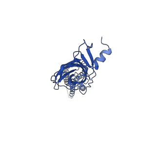 28167_8eiz_E_v1-1
Cryo-EM structure of squid sensory receptor CRB1
