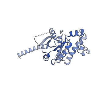 31145_7eib_B_v1-0
Cryo-EM structure of the type 1 bradykinin receptor in complex with the des-Arg10-kallidin and an Gq protein