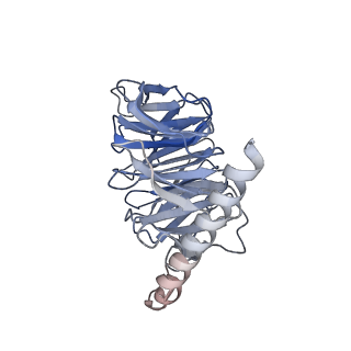 31145_7eib_C_v1-0
Cryo-EM structure of the type 1 bradykinin receptor in complex with the des-Arg10-kallidin and an Gq protein