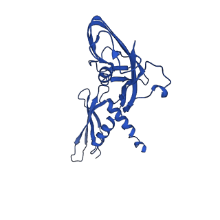 28174_8ej3_A_v1-1
M. tuberculosis RNAP pause escaped complex with Bacillus subtilis NusG and GMPCPP