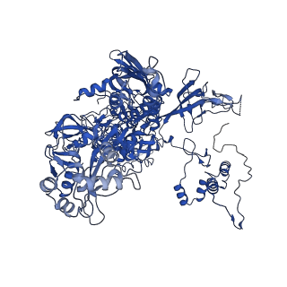 28174_8ej3_C_v1-1
M. tuberculosis RNAP pause escaped complex with Bacillus subtilis NusG and GMPCPP