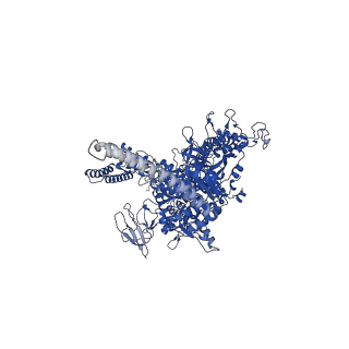 28174_8ej3_D_v1-1
M. tuberculosis RNAP pause escaped complex with Bacillus subtilis NusG and GMPCPP