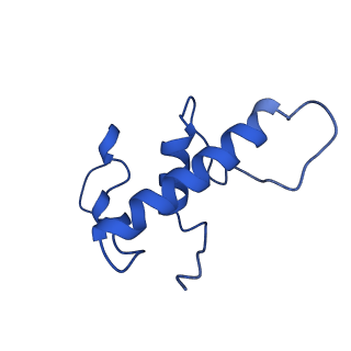 28174_8ej3_E_v1-1
M. tuberculosis RNAP pause escaped complex with Bacillus subtilis NusG and GMPCPP