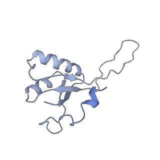 28174_8ej3_G_v1-1
M. tuberculosis RNAP pause escaped complex with Bacillus subtilis NusG and GMPCPP