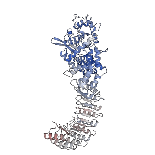 28175_8ej4_A_v1-1
Cryo-EM structure of the active NLRP3 inflammasome disk