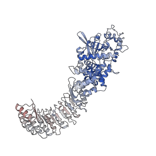 28175_8ej4_B_v1-1
Cryo-EM structure of the active NLRP3 inflammasome disk