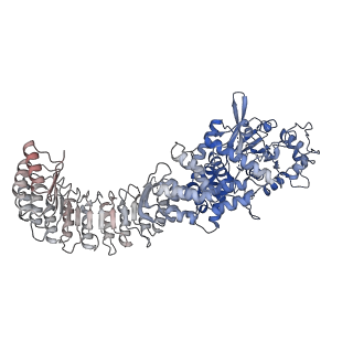 28175_8ej4_C_v1-1
Cryo-EM structure of the active NLRP3 inflammasome disk