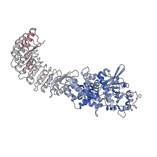 28175_8ej4_D_v1-1
Cryo-EM structure of the active NLRP3 inflammasome disk