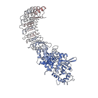 28175_8ej4_E_v1-1
Cryo-EM structure of the active NLRP3 inflammasome disk
