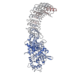 28175_8ej4_F_v1-1
Cryo-EM structure of the active NLRP3 inflammasome disk