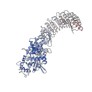 28175_8ej4_G_v1-1
Cryo-EM structure of the active NLRP3 inflammasome disk