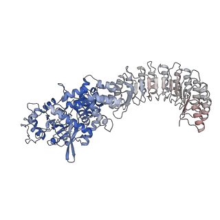 28175_8ej4_H_v1-1
Cryo-EM structure of the active NLRP3 inflammasome disk