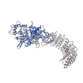 28175_8ej4_I_v1-1
Cryo-EM structure of the active NLRP3 inflammasome disk