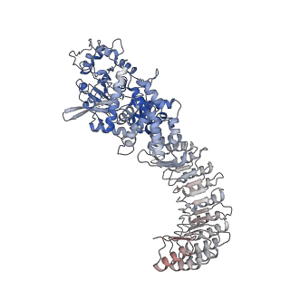 28175_8ej4_J_v1-1
Cryo-EM structure of the active NLRP3 inflammasome disk