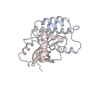 28175_8ej4_K_v1-1
Cryo-EM structure of the active NLRP3 inflammasome disk