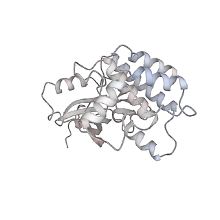 28175_8ej4_L_v1-1
Cryo-EM structure of the active NLRP3 inflammasome disk