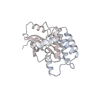 28175_8ej4_M_v1-1
Cryo-EM structure of the active NLRP3 inflammasome disk