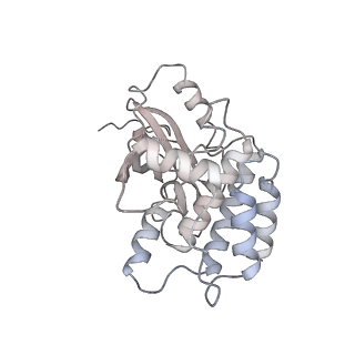 28175_8ej4_N_v1-1
Cryo-EM structure of the active NLRP3 inflammasome disk