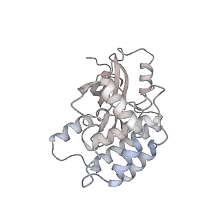 28175_8ej4_O_v1-1
Cryo-EM structure of the active NLRP3 inflammasome disk