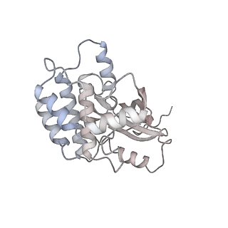 28175_8ej4_R_v1-1
Cryo-EM structure of the active NLRP3 inflammasome disk
