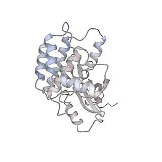 28175_8ej4_S_v1-1
Cryo-EM structure of the active NLRP3 inflammasome disk