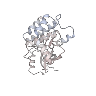 28175_8ej4_T_v1-1
Cryo-EM structure of the active NLRP3 inflammasome disk