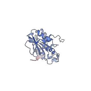 28178_8ejd_A_v1-0
Structure of lineage IV Lassa virus glycoprotein complex (strain Josiah)
