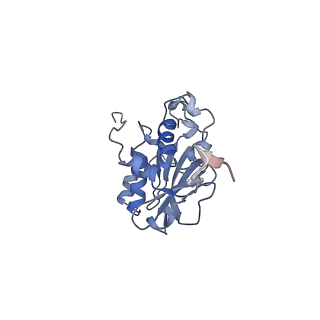 28178_8ejd_B_v1-0
Structure of lineage IV Lassa virus glycoprotein complex (strain Josiah)