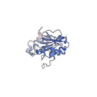 28178_8ejd_C_v1-0
Structure of lineage IV Lassa virus glycoprotein complex (strain Josiah)