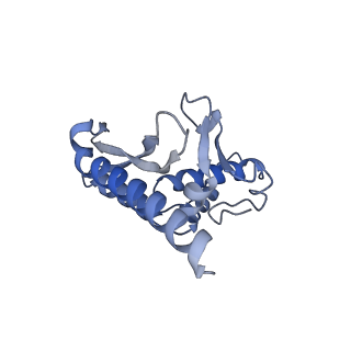 28178_8ejd_c_v1-0
Structure of lineage IV Lassa virus glycoprotein complex (strain Josiah)