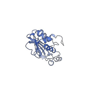 28179_8eje_A_v1-0
Structure of lineage II Lassa virus glycoprotein complex (strain NIG08-A41)