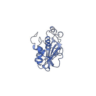 28179_8eje_B_v1-0
Structure of lineage II Lassa virus glycoprotein complex (strain NIG08-A41)