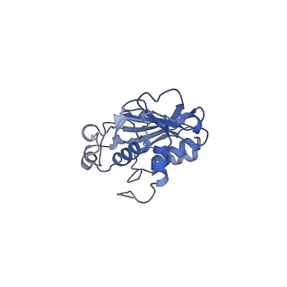 28179_8eje_C_v1-0
Structure of lineage II Lassa virus glycoprotein complex (strain NIG08-A41)