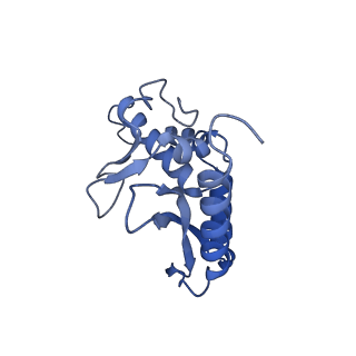 28179_8eje_a_v1-0
Structure of lineage II Lassa virus glycoprotein complex (strain NIG08-A41)