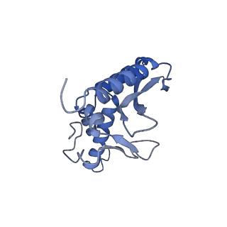 28179_8eje_b_v1-0
Structure of lineage II Lassa virus glycoprotein complex (strain NIG08-A41)